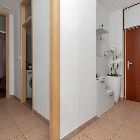 Bruno & Toni Deluxe *