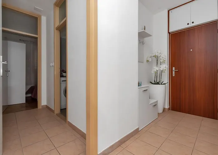 Bruno & Toni Deluxe *